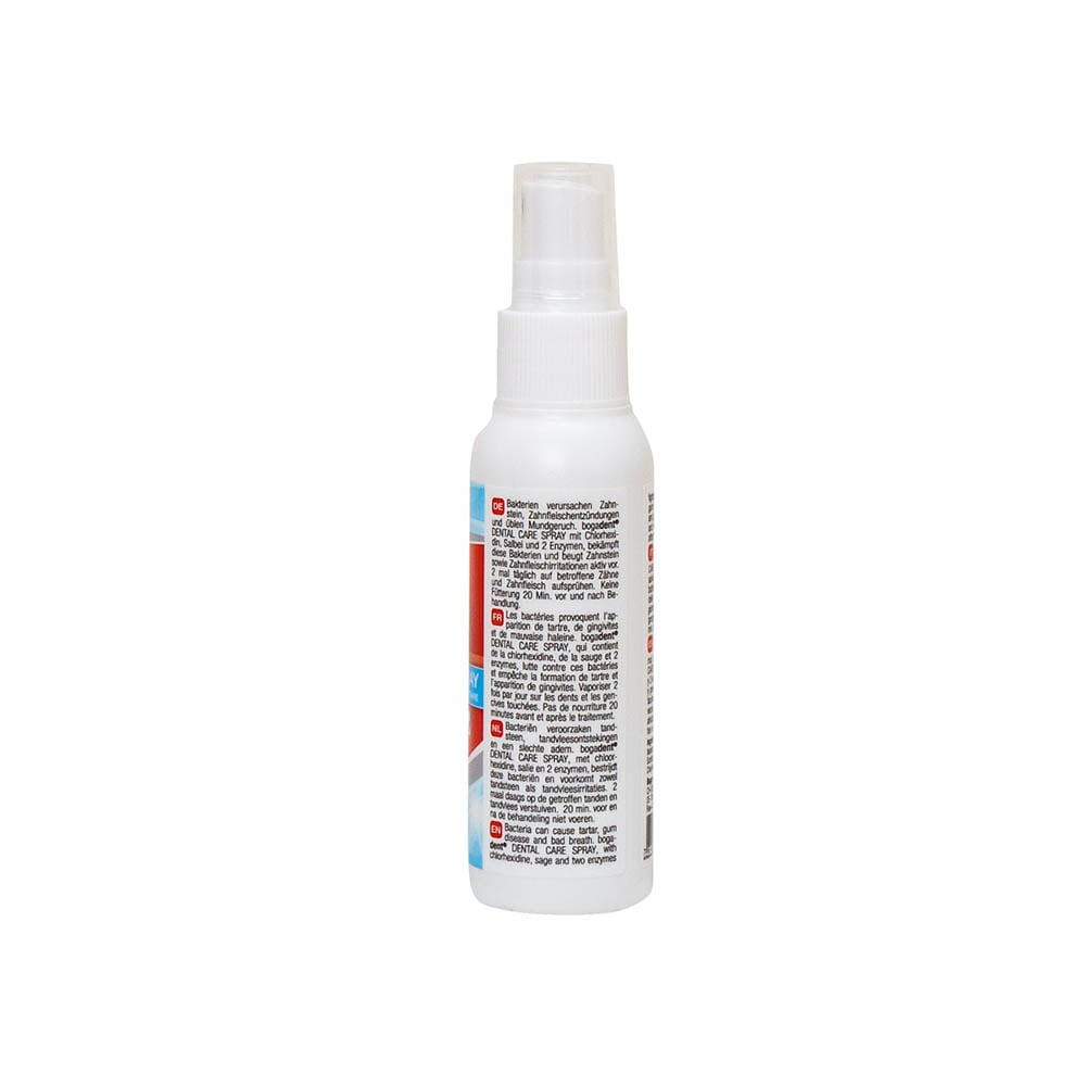 bogadent Dental Care Spray Hund_1