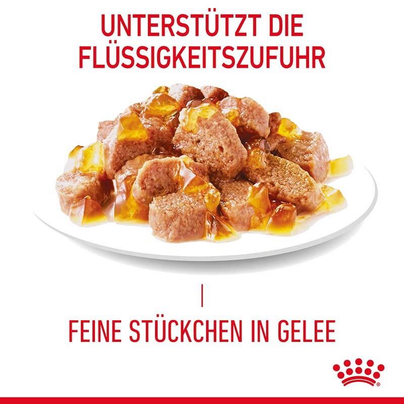 Royal Canin Hair & Skin Care Katzennahrung Feucht für gesundes Fell (Intense Beauty)_4