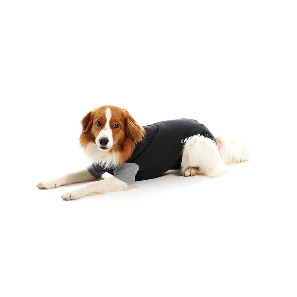 Kruuse Buster Body Suit Classic für Hunde_1