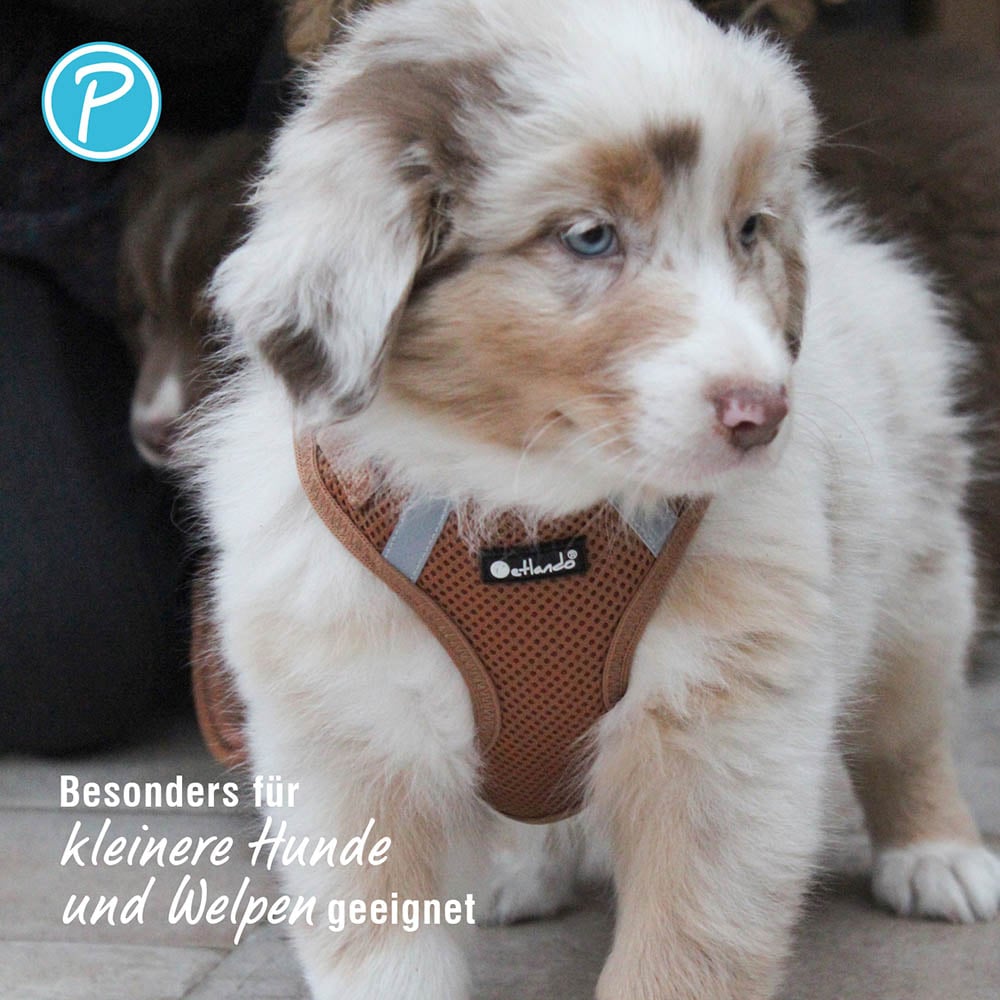 Petlando Mesh Vest cognac_3