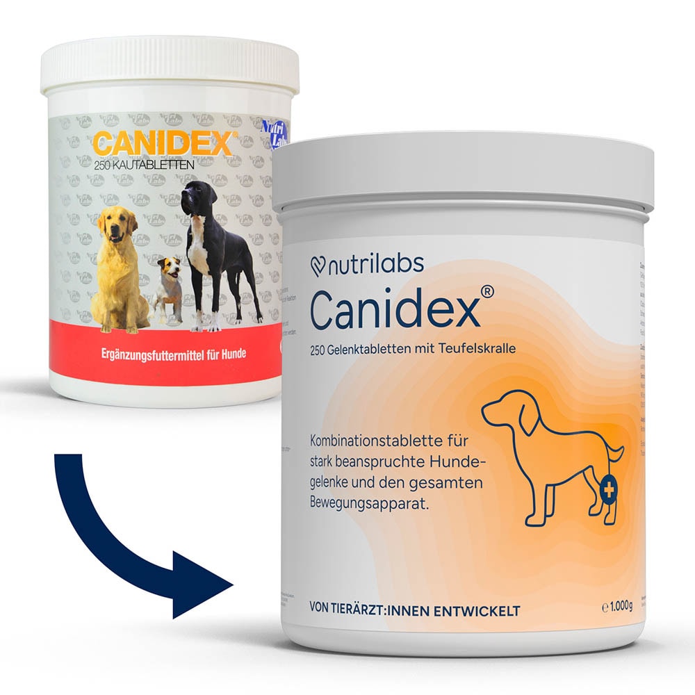 NutriLabs Canidex Kautabletten_3