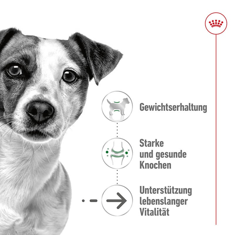 Royal Canin Mini Ageing 12+ Trockenfutter für ältere kleine Hunde_1