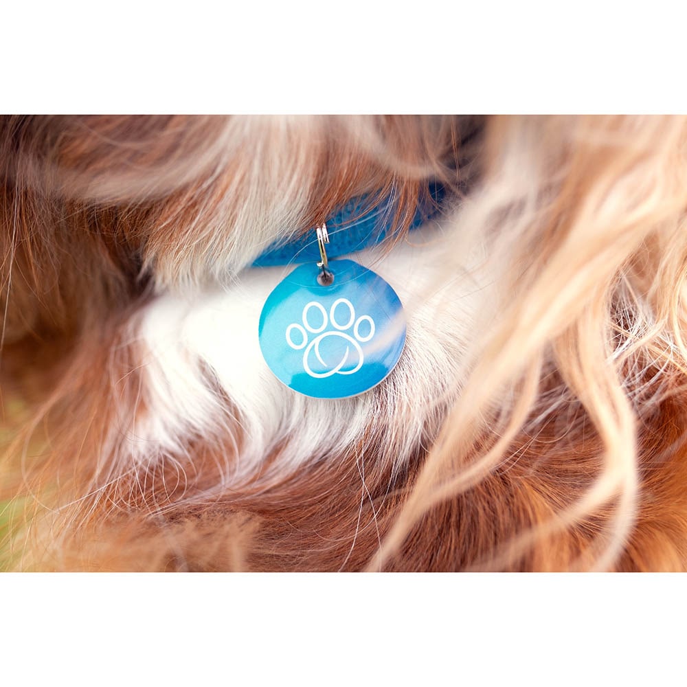 Sure Petcare RFID-Halsbandanhänger_1