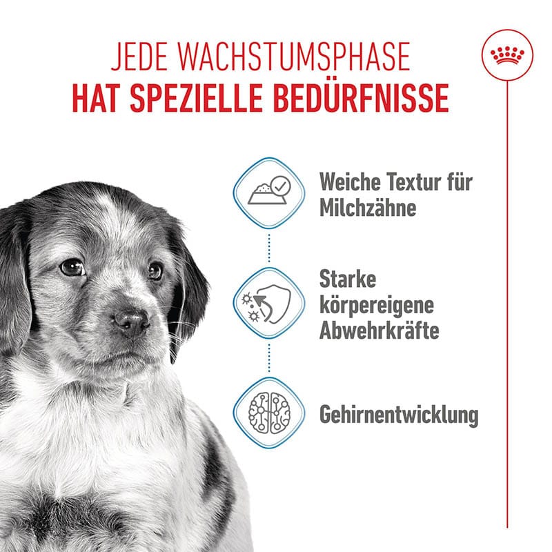 Royal Canin Medium Puppy Welpenfutter Nass für mittelgroße Hunde_3