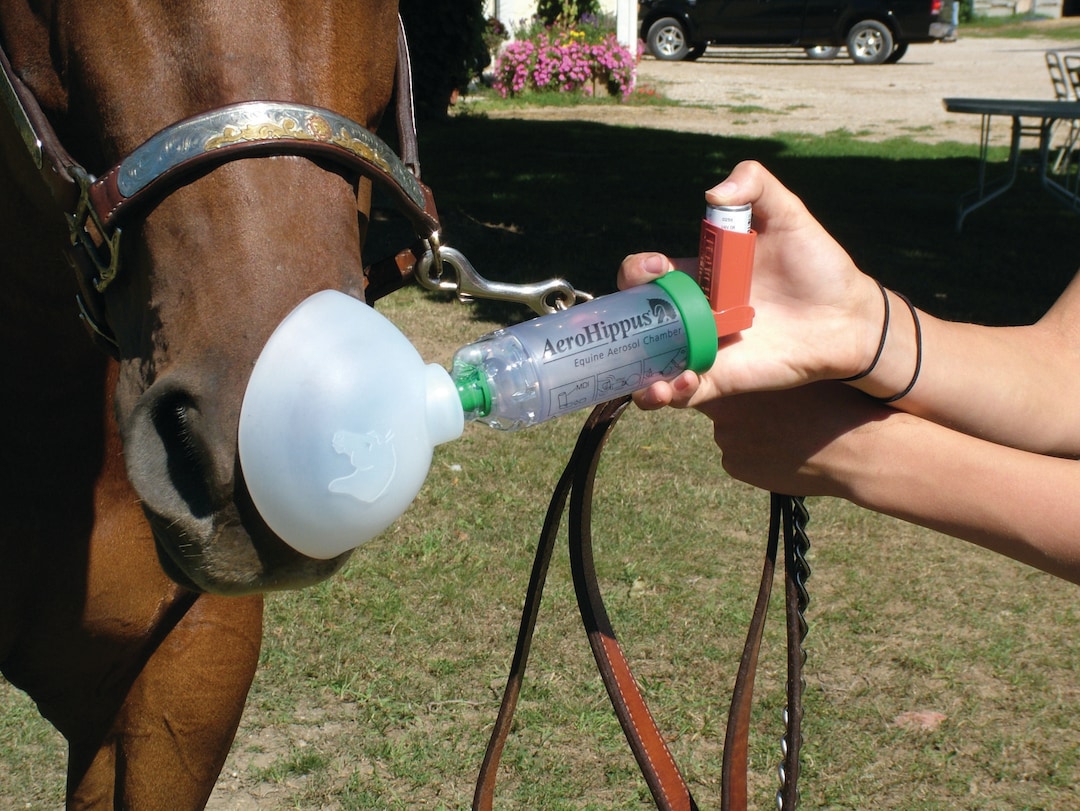 AeroHippus Inhaliergerät für Pferde_1
