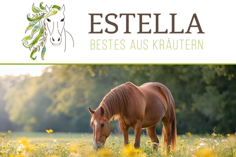 ESTELLA Kräutersäfte