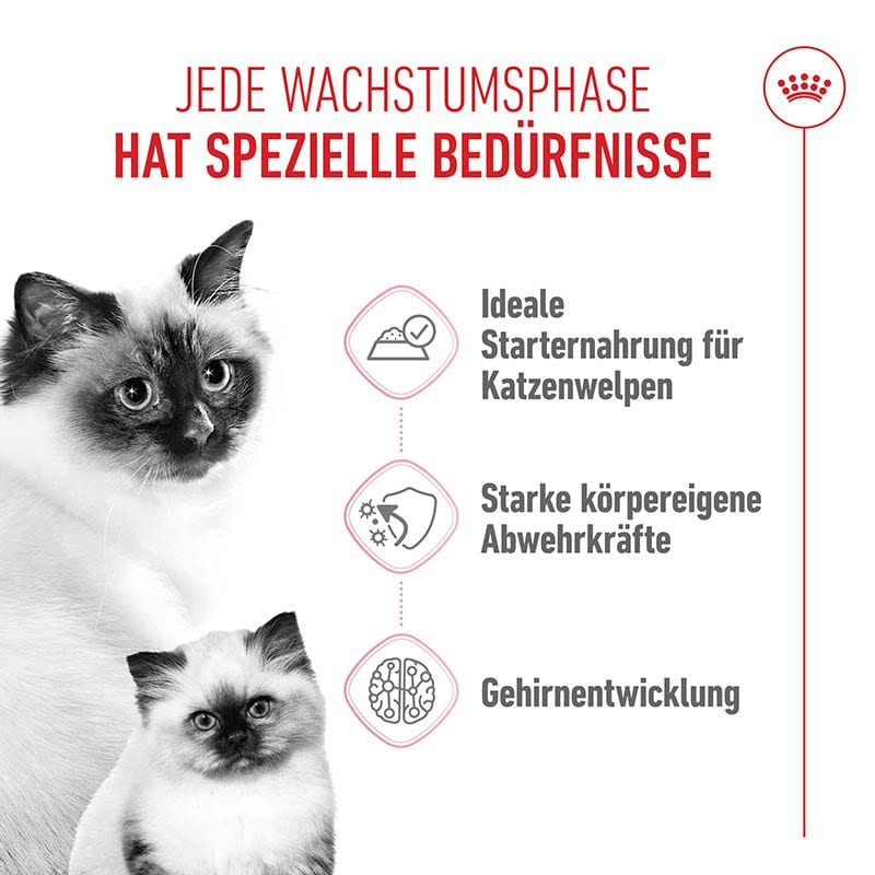 Royal Canin Mother & Babycat Mousse für tragende Katzen und Kitten_2