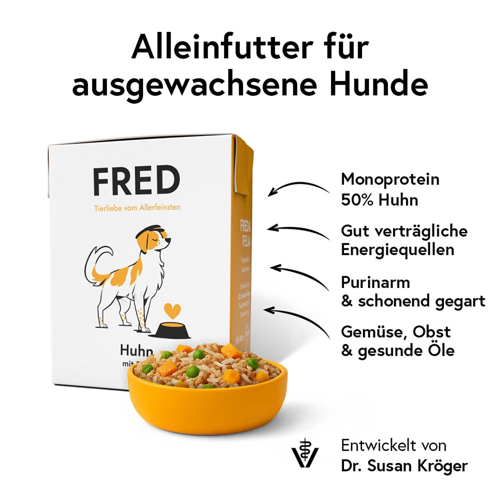 Fred Huhn mit Reis_1