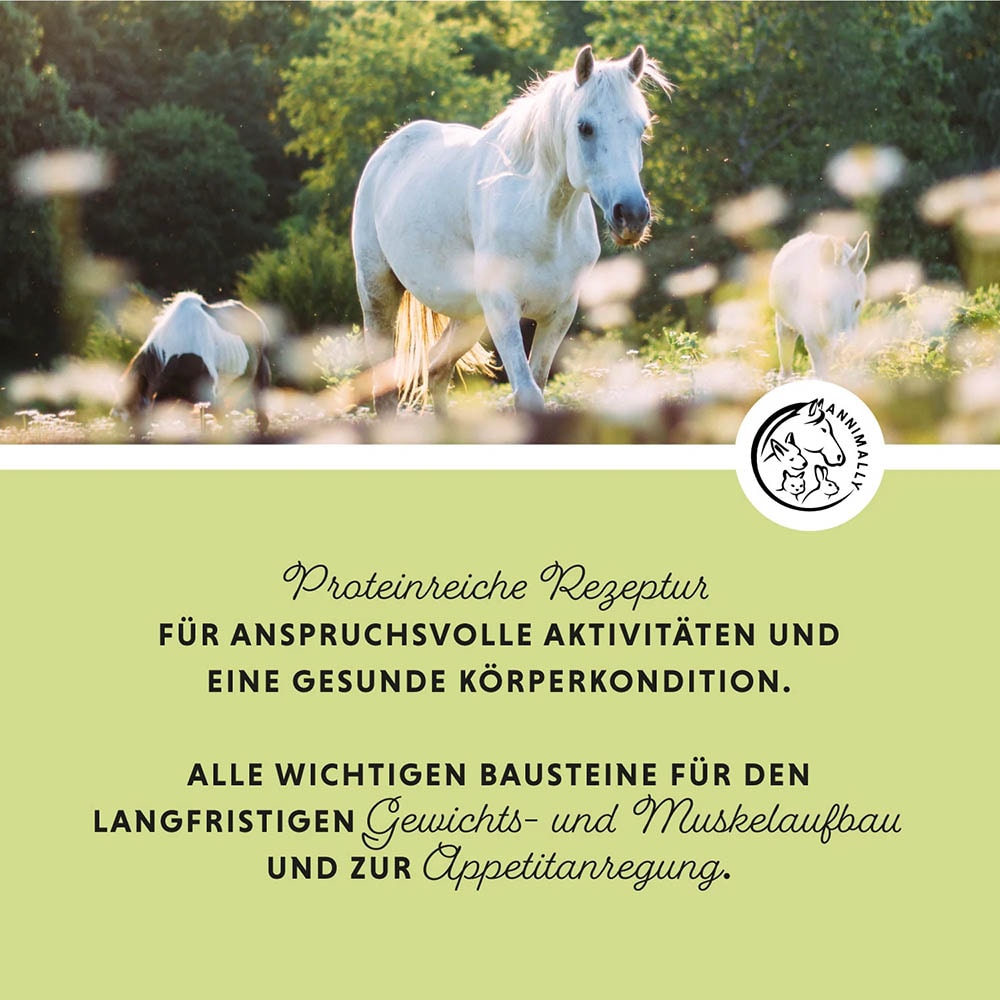 Annimally Weight Gainer_4