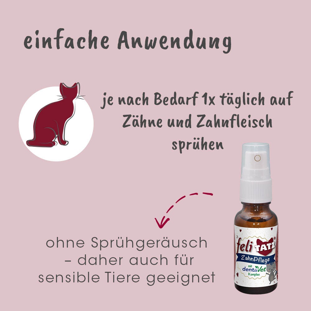 cdVet feliTATZ ZahnPflege_4