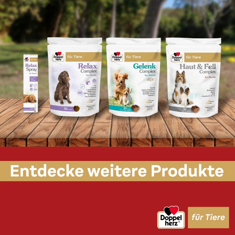Doppelherz Haut und Fell Complex für Hunde_8