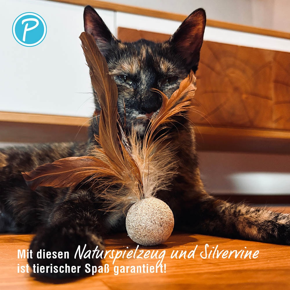 Petlando Earthcat Silvervine Federball Fasan_3