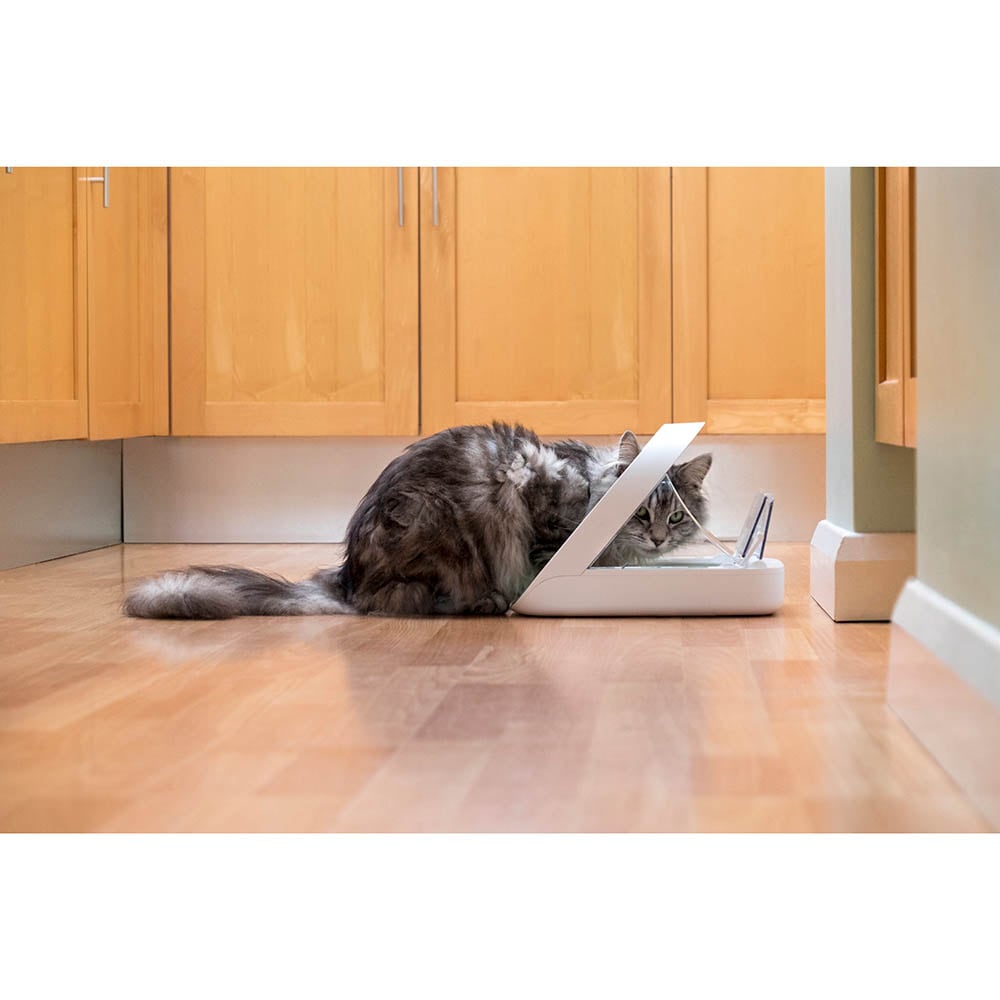 SureFeed Mikrochip-gesteuerter Futterautomat_3