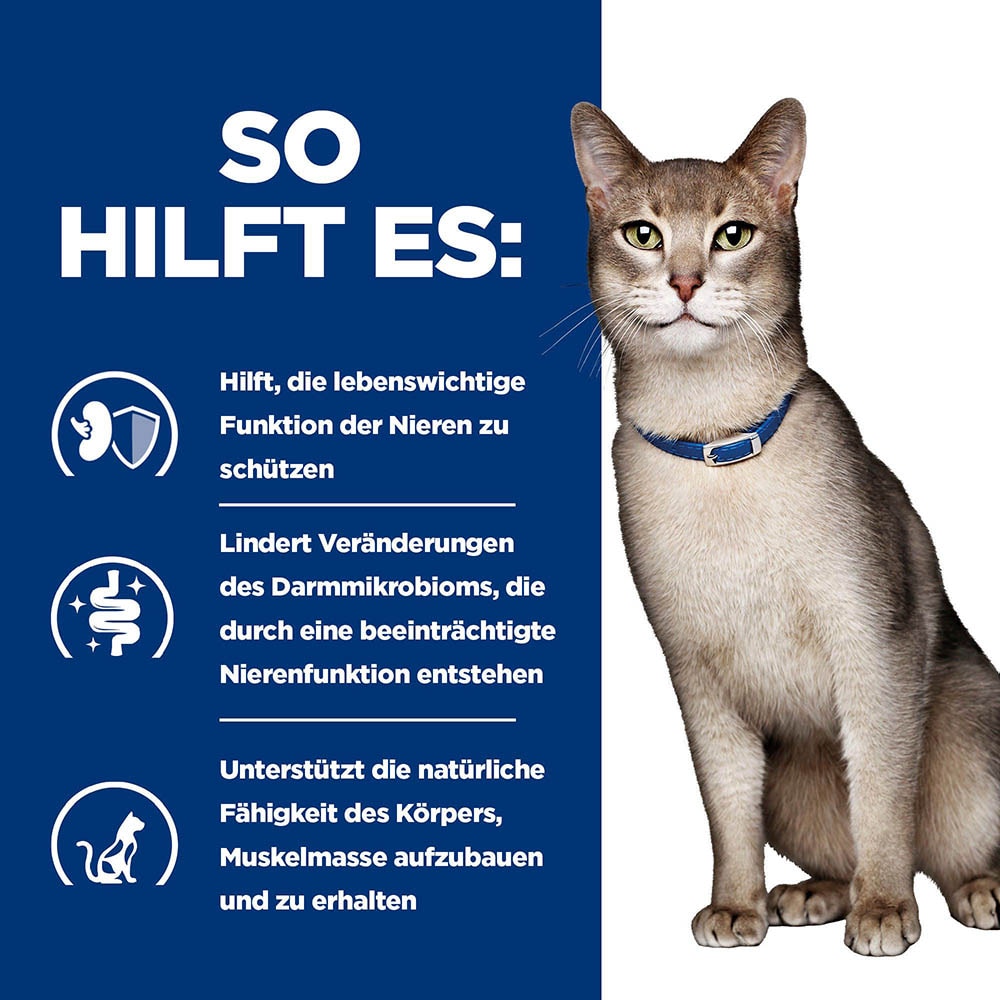 Hills Prescription Diet k/d Kidney Care Trockenfutter für Katzen mit Lachs_3