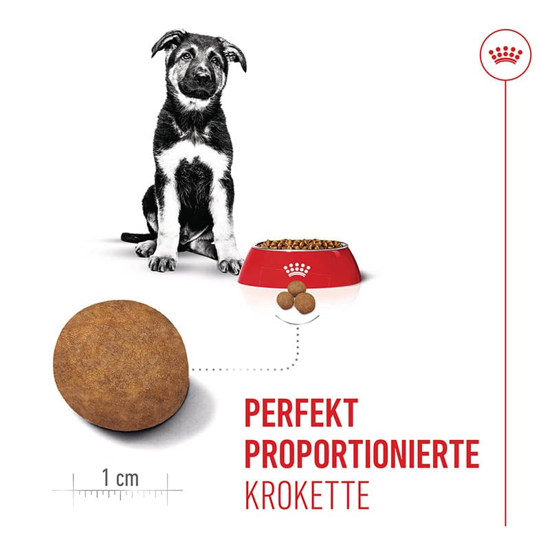 Royal Canin Maxi Puppy Trockenfutter für Welpen großer Rassen_3