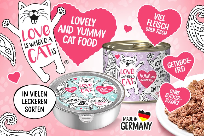 Love is where a cat is Love is where a cat is
