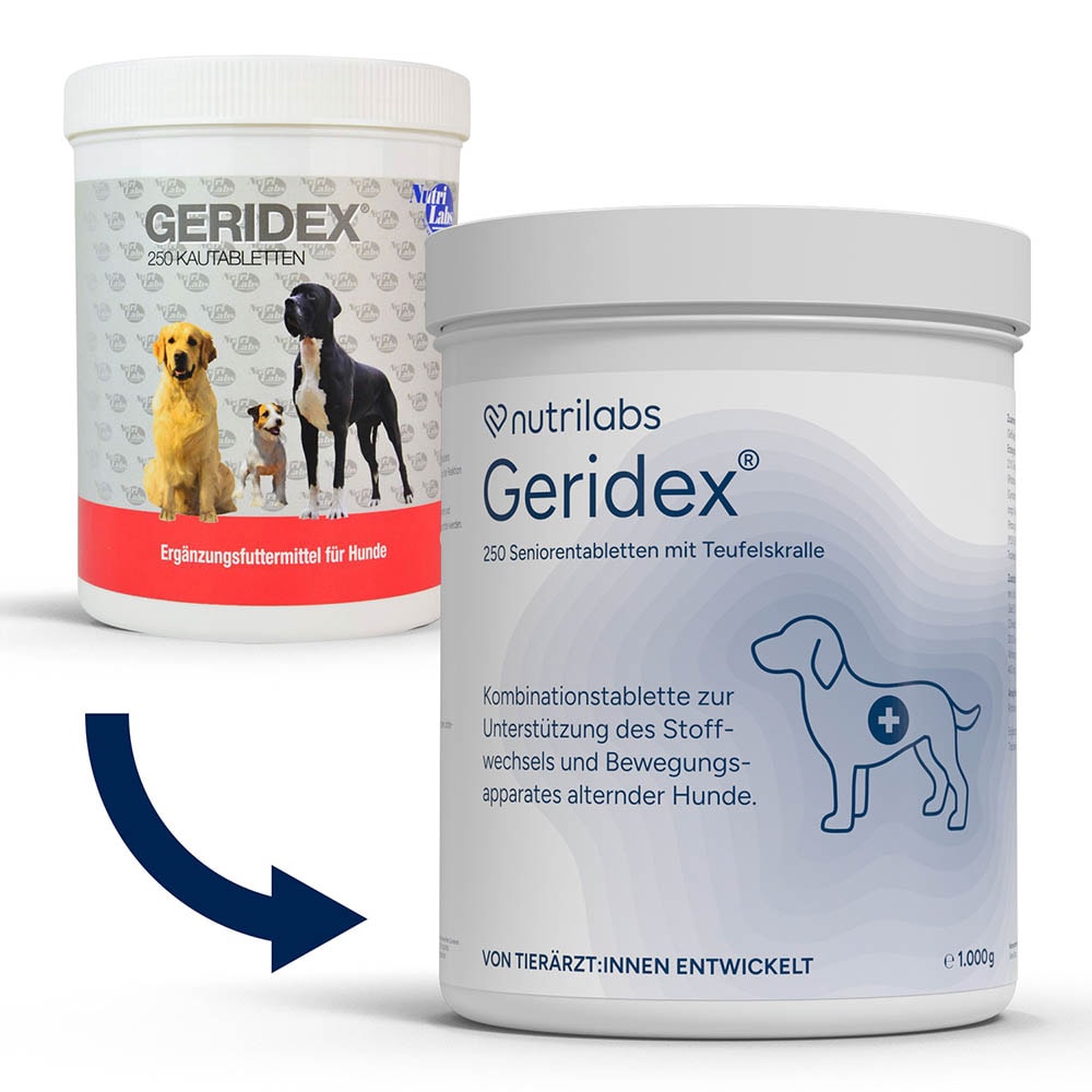 NutriLabs Geridex Tabletten_3