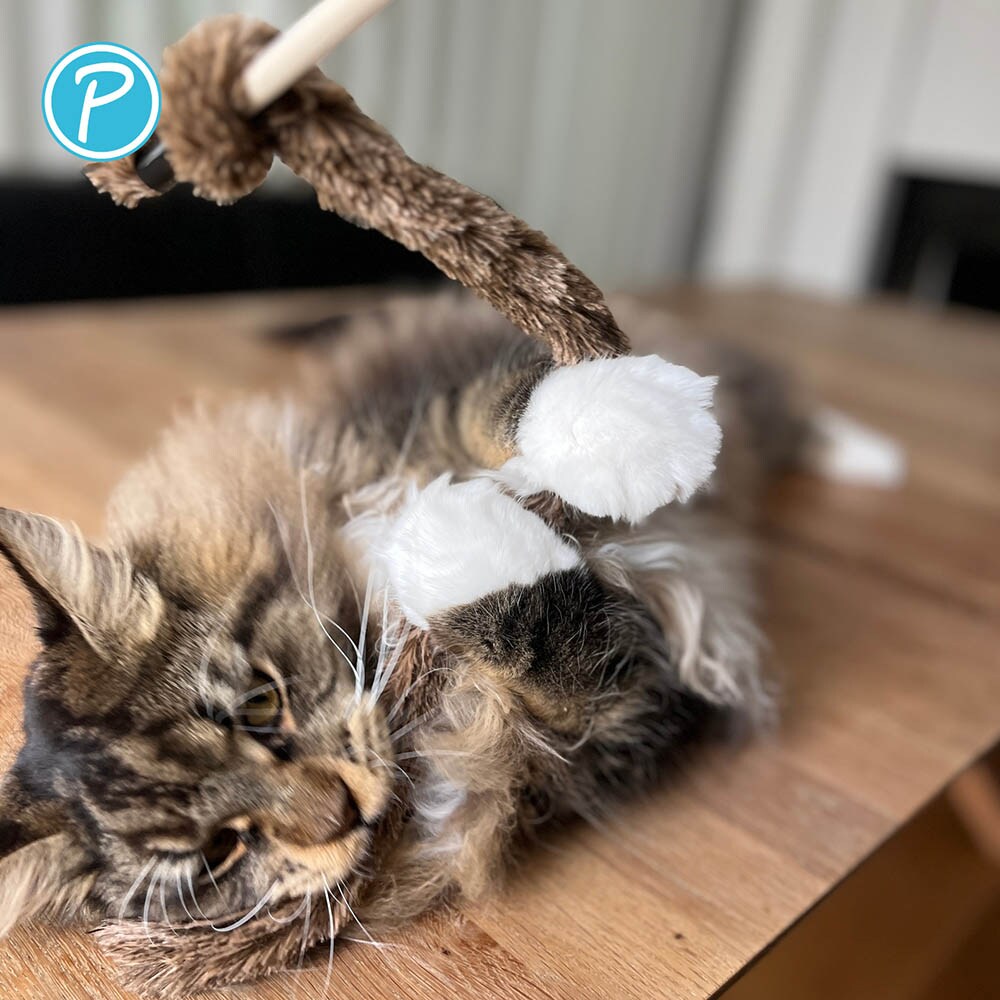 Petlando Katzenangel Plüsch_3