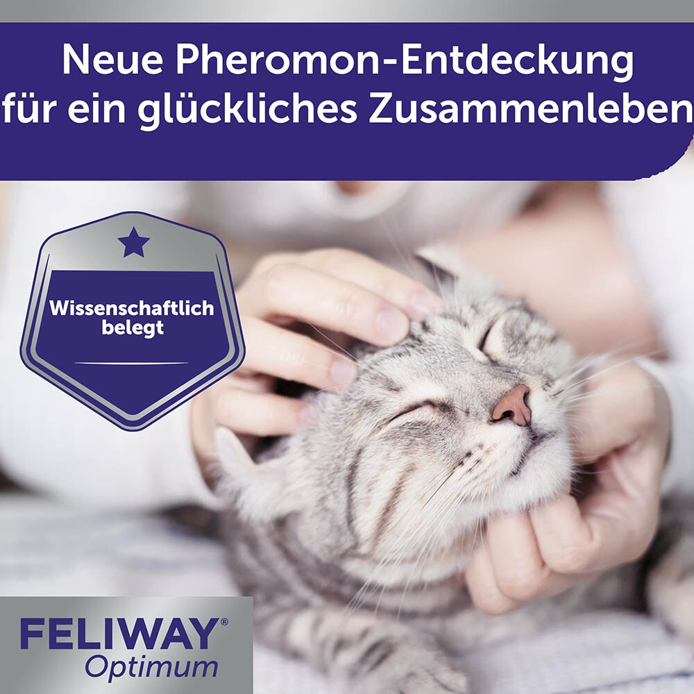 Feliway Optimum Nachfüllflakon_6