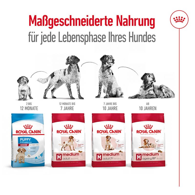 Royal Canin Medium Ageing 10+ Trockenfutter für ältere mittelgroße Hunde_5