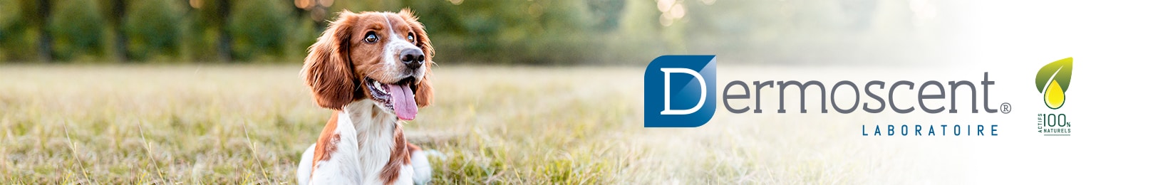 Dermoscent