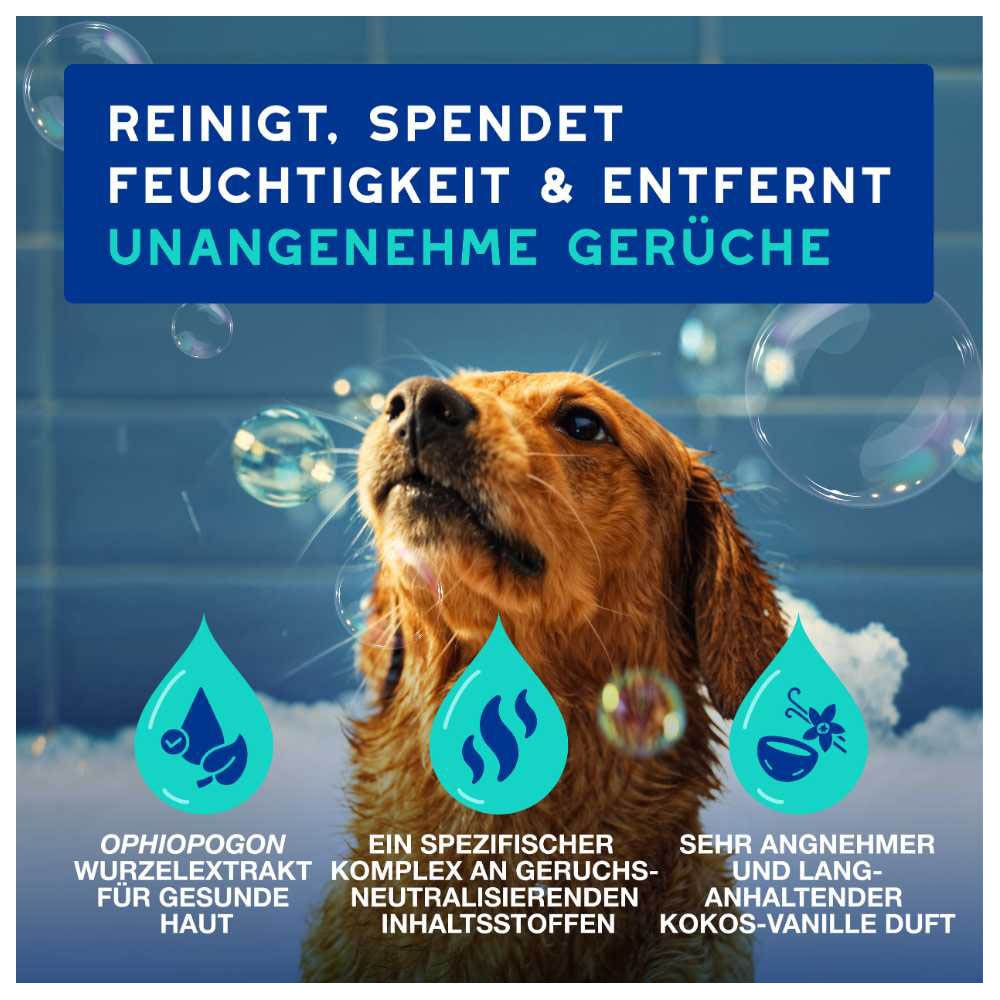 Douxo Spa Hundeshampoo gegen Geruch_1