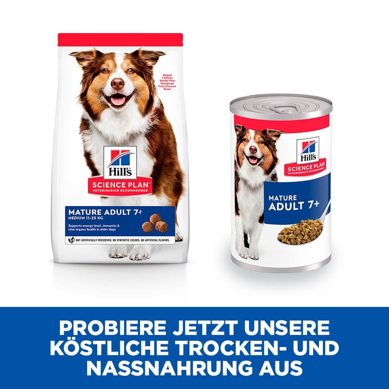 Hills Science Plan Mature Adult 7+ Nassfutter für Hunde mit Rind_3