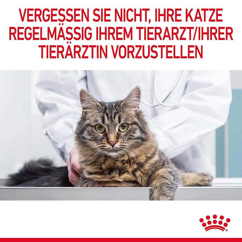 Royal Canin Appetite Control Care Trockennahrung für erwachsene Katzen _7