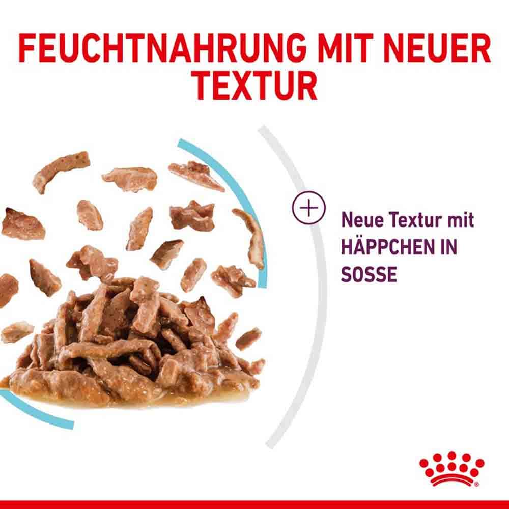 Royal Canin Sensory Feel Nassfutter in Soße für wählerische Katzen_4