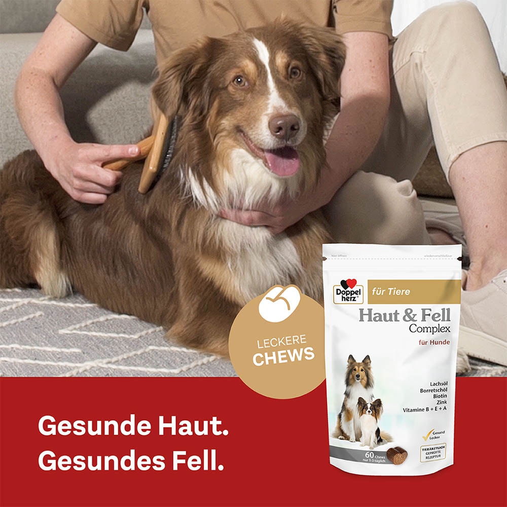 Doppelherz Haut und Fell Complex für Hunde_2