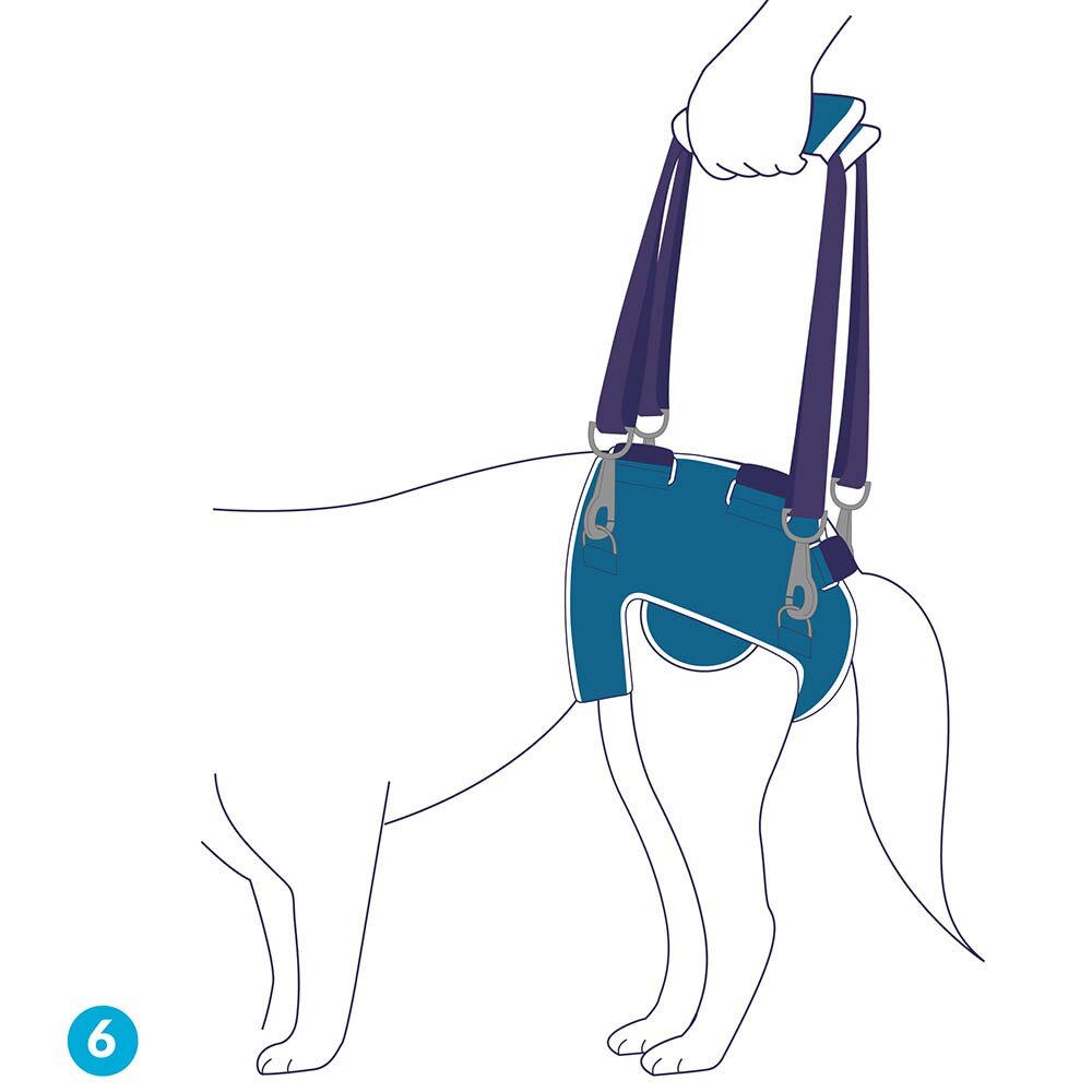 Balto Rehab BT Life_7