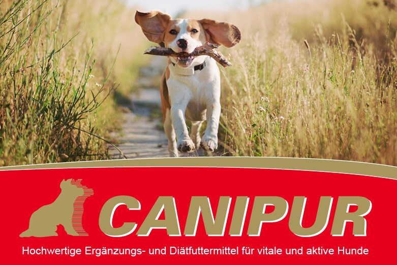 Canipur Canipur