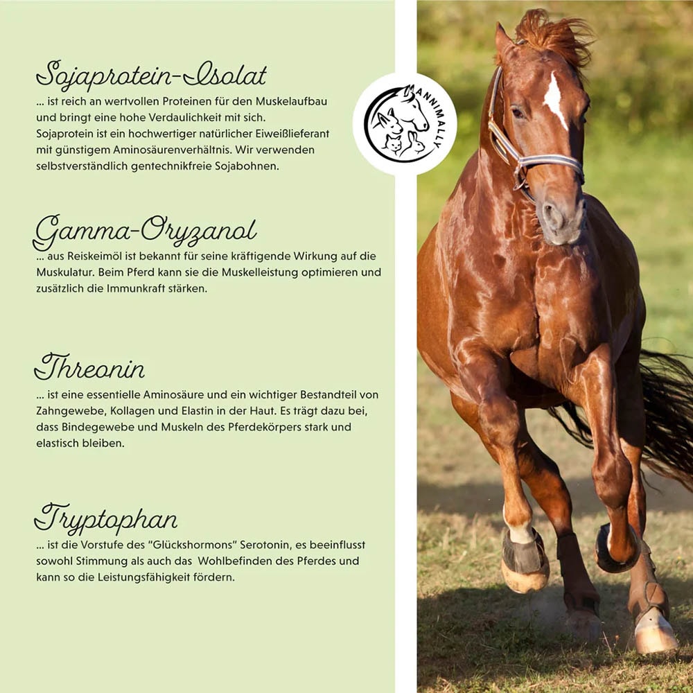 Annimally Muskelpower Pulver_4