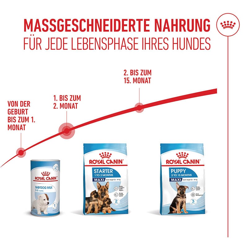 Royal Canin Maxi Starter für tragende Hündin und Welpen großer Rassen_5