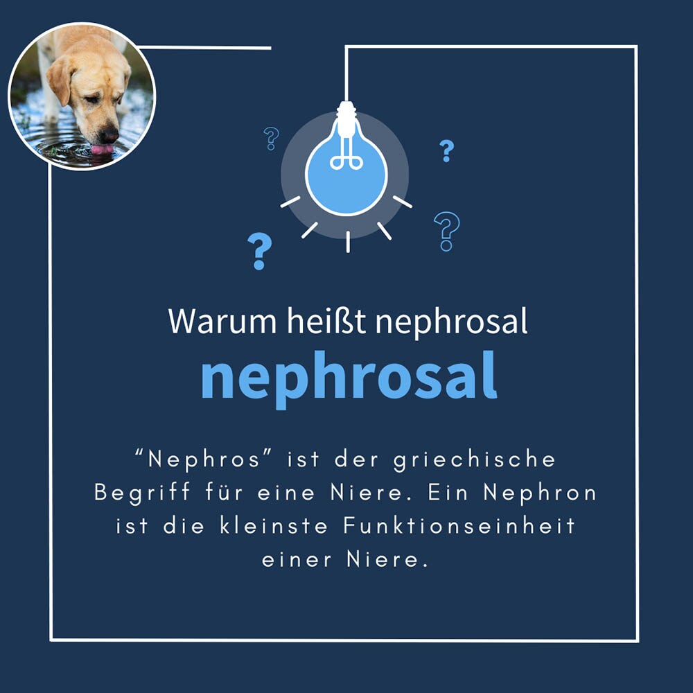 navalis nephrosal Dog Pulver_6