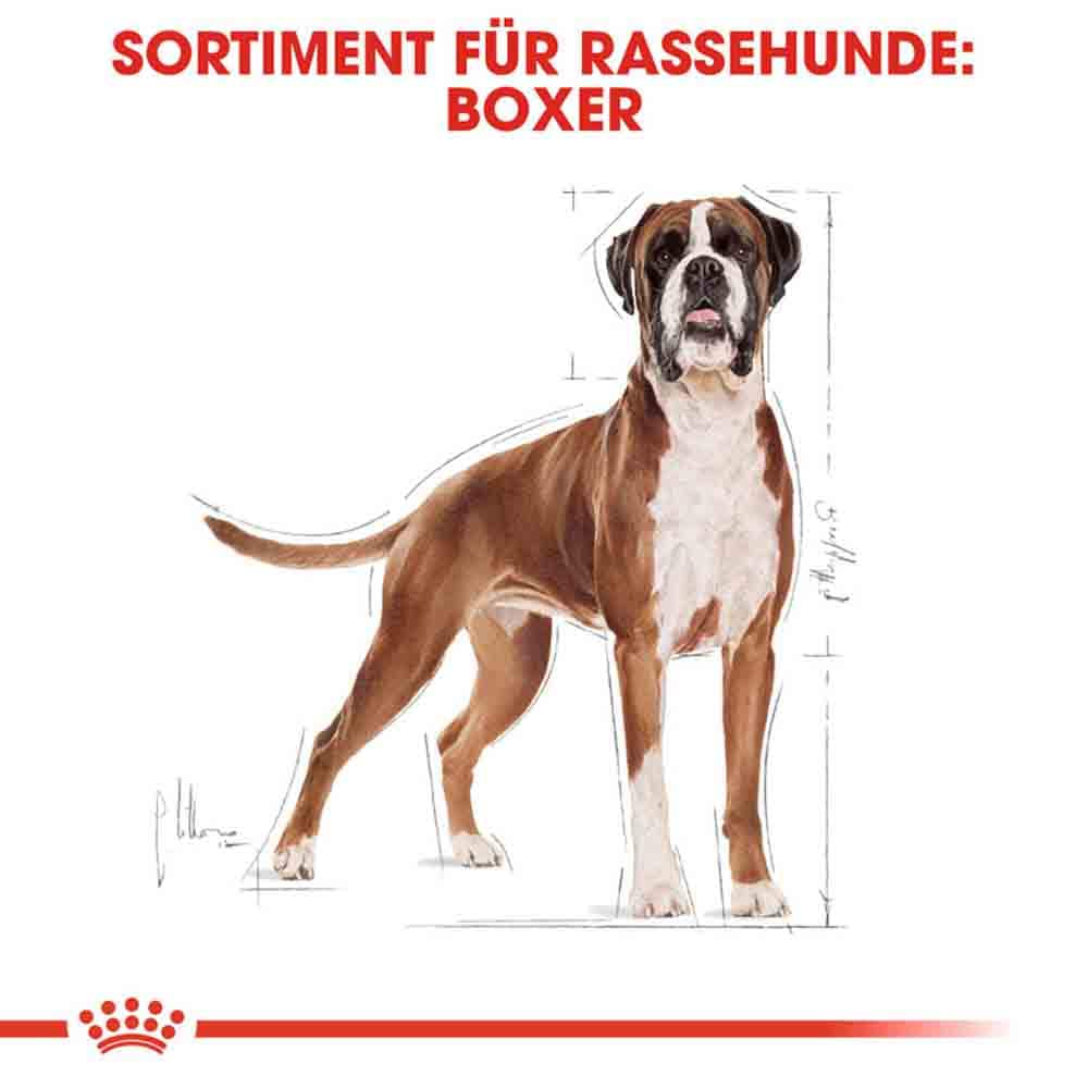 Royal Canin Boxer Adult Hundefutter trocken_2