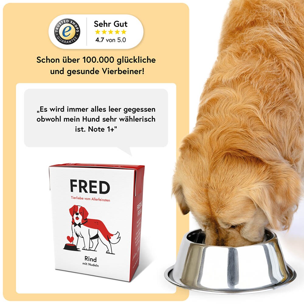 Fred Rind mit Nudeln_3