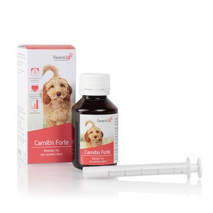 Tierarzt24 Carnitin forte - Booster fr ein starkes Hundeherz |  Tierarzt24.de