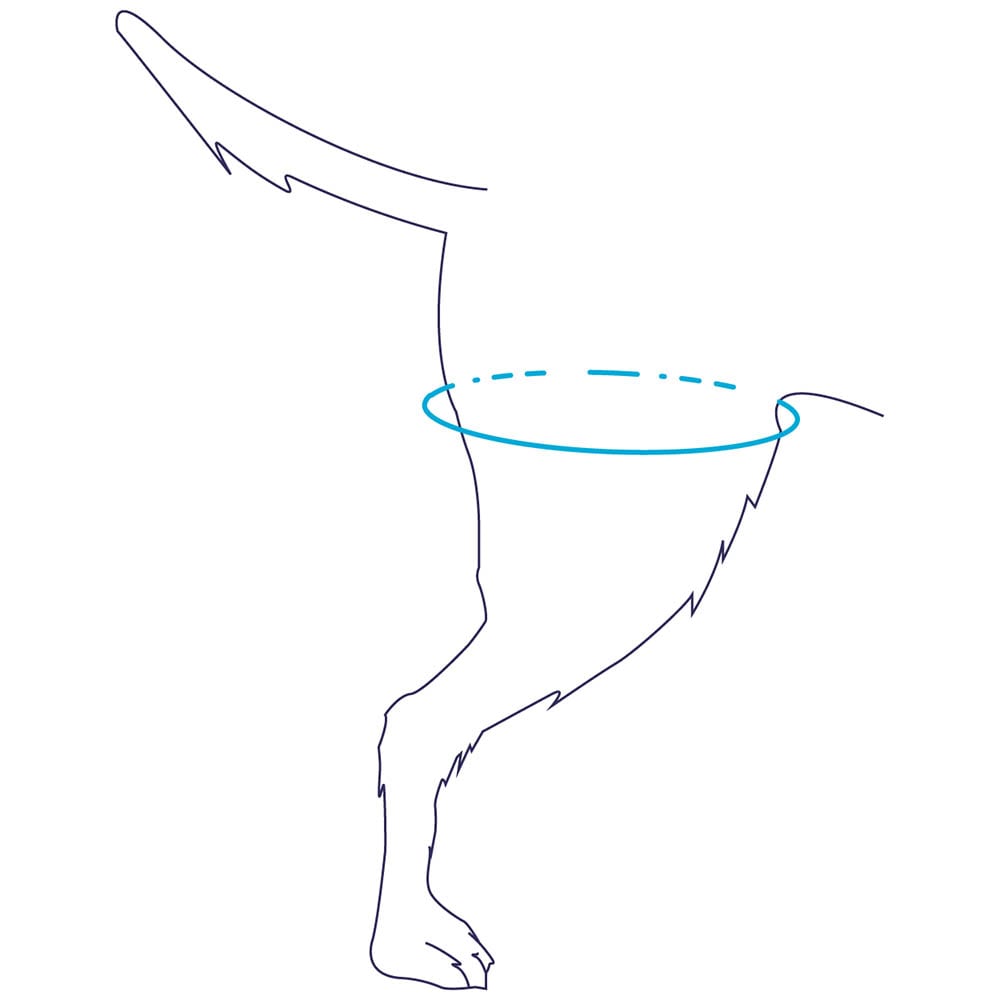 Balto Rehab Tragehilfe BT UP _1