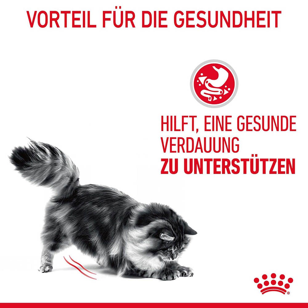 Royal Canin Digestive Nassfutter für Katzen in Soße mit empfindlicher Verdauung_3