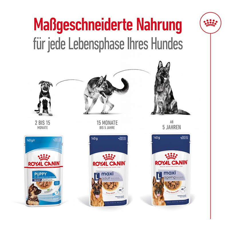 Royal Canin Maxi Ageing Feuchtnahrung als Stückchen in Soße (>5. Lebensjahr)_5