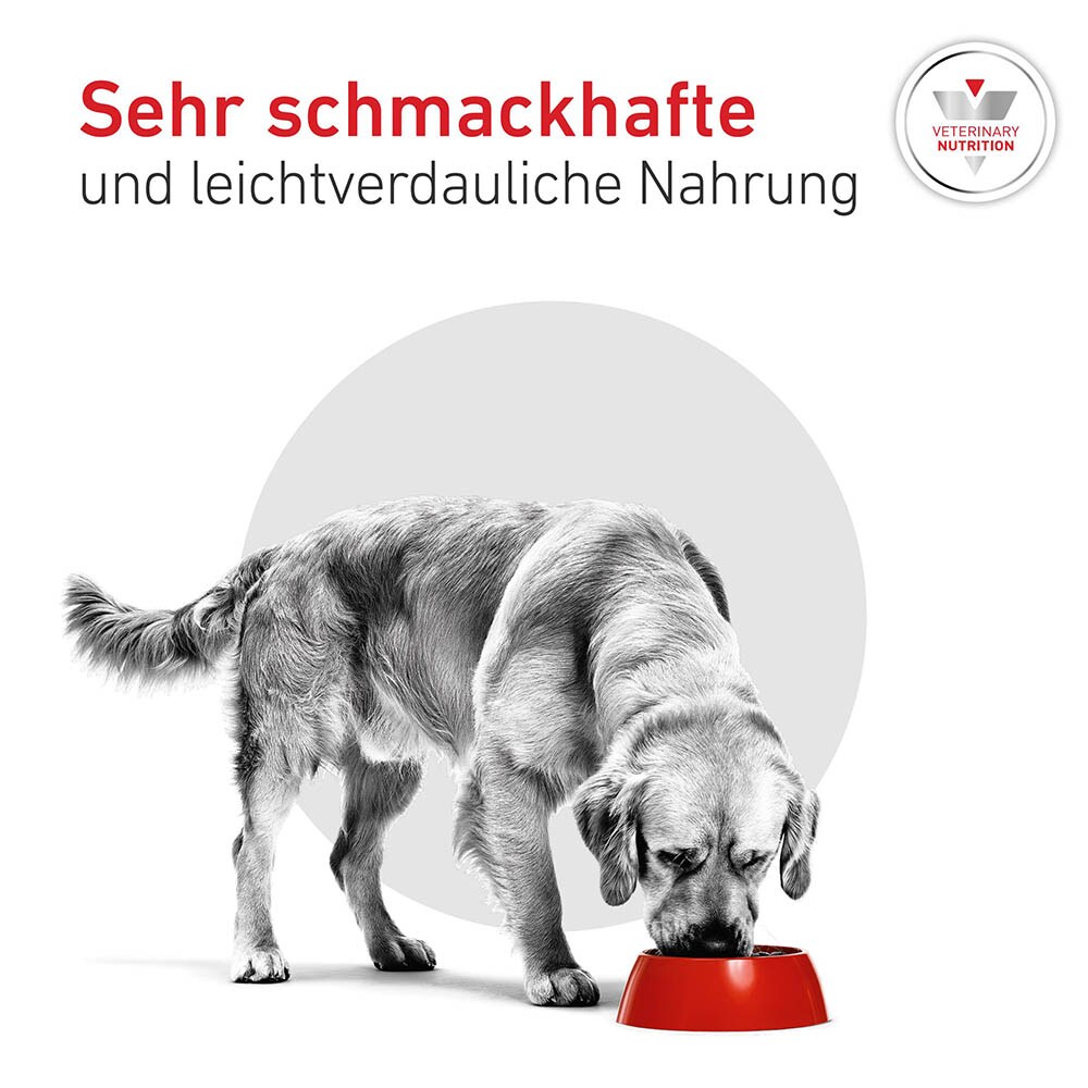 Royal Canin Veterinary Glycobalance Trockenfutter für Hunde_6