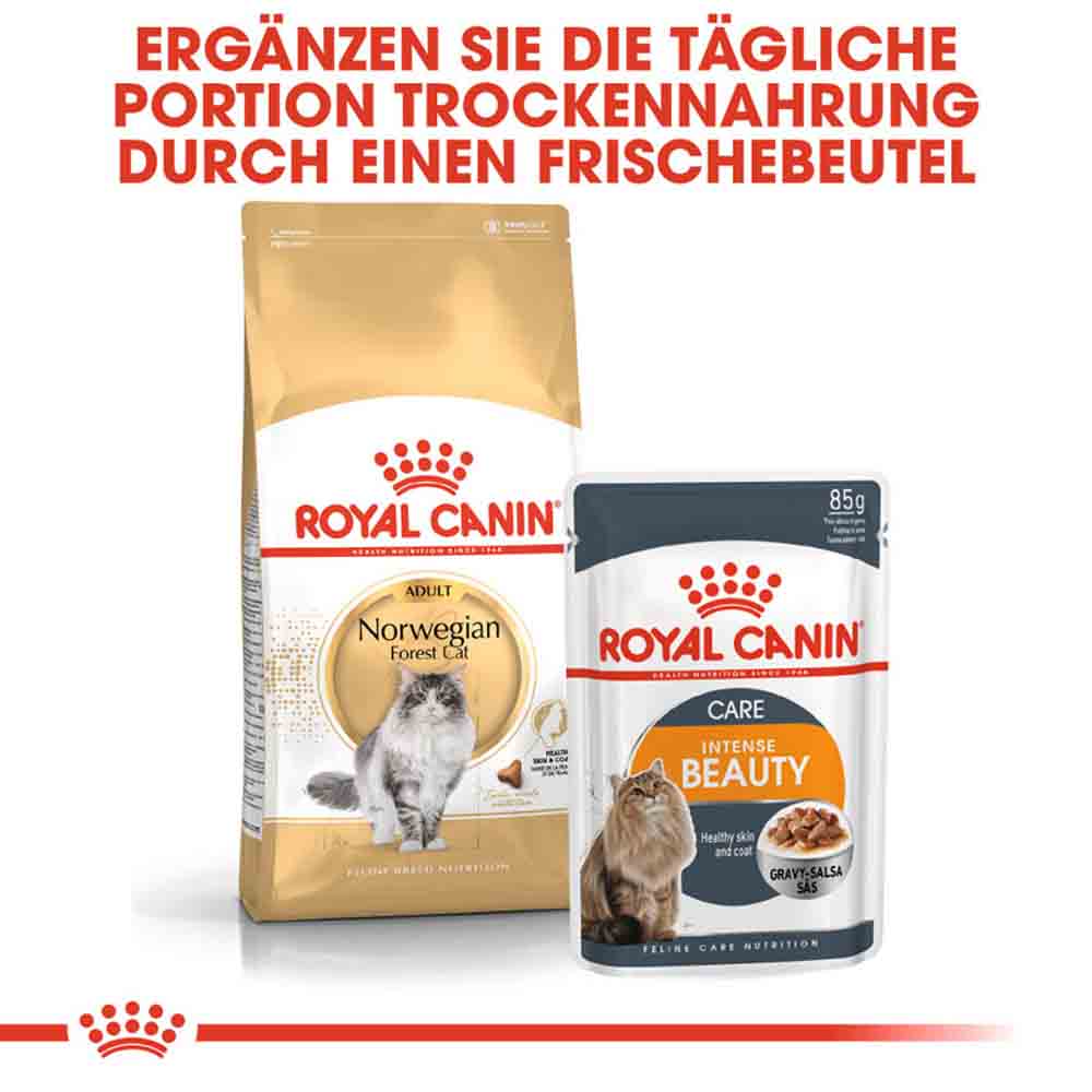 Royal Canin Norwegian Forest Cat Adult Trockenfutter für Norwegische Waldkatzen_5
