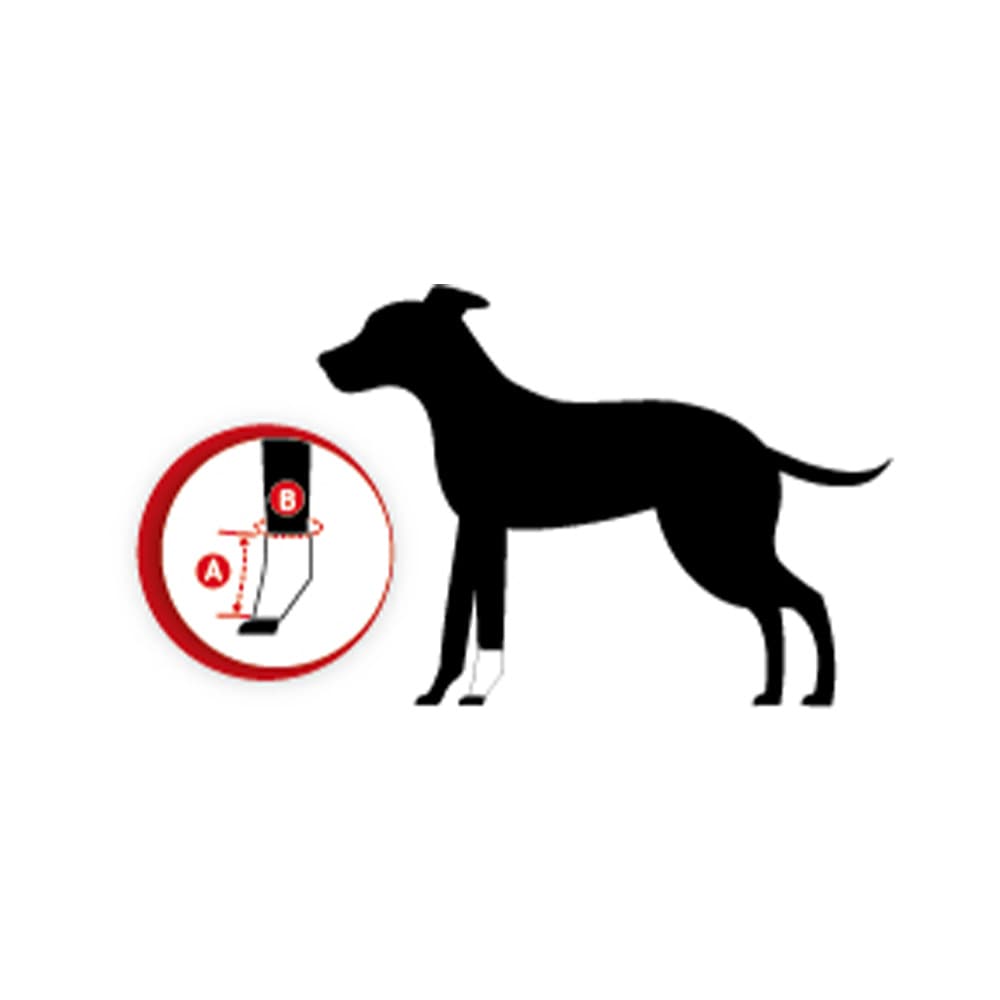 Tierarzt24 Neopren Carpusprotektor_1