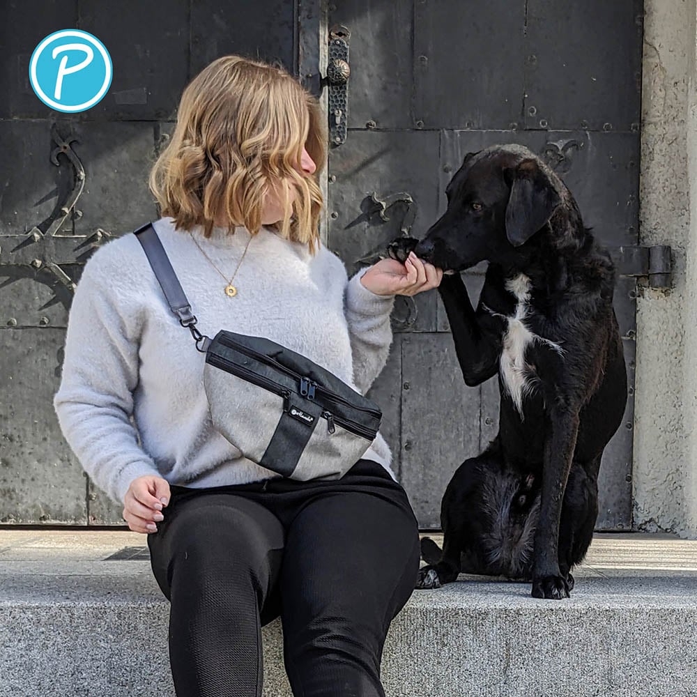 Petlando Everest Crossbag grau_3