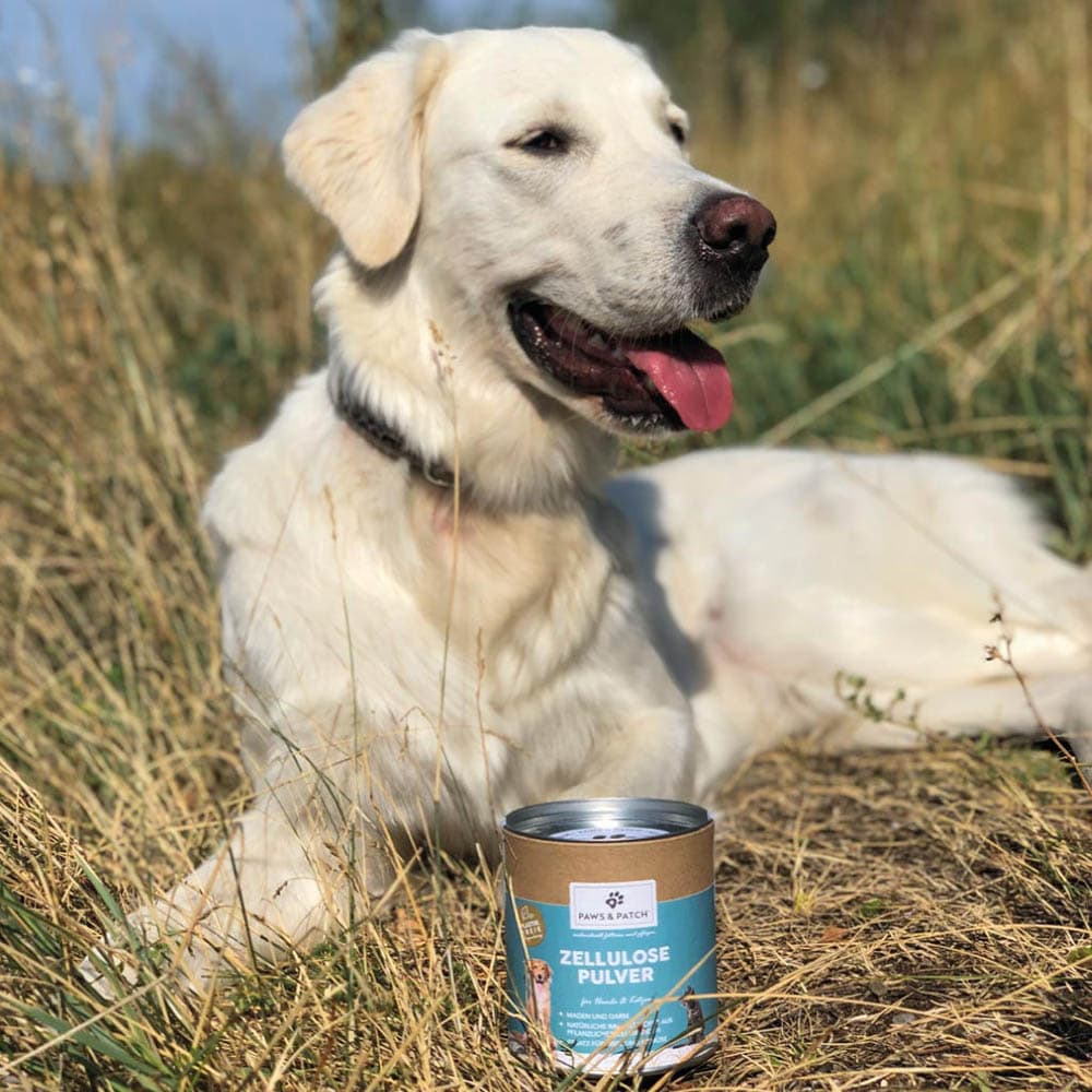 PAWS & PATCH Zellulose Pulver für Hunde und Katzen_1