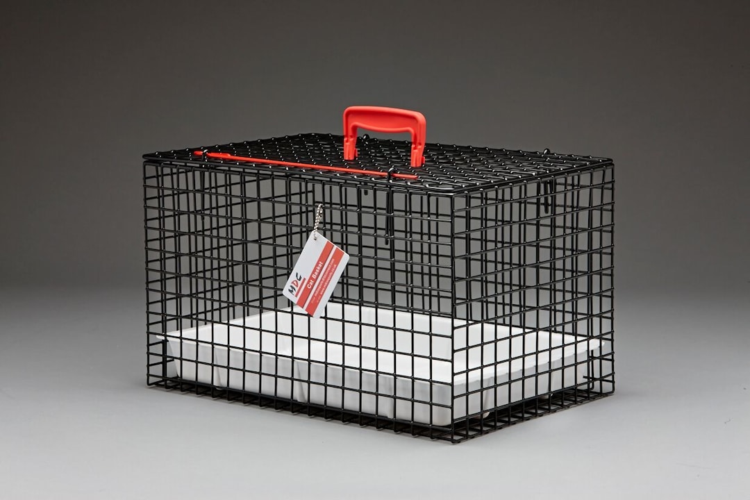 Katzenkäfig farbig_0