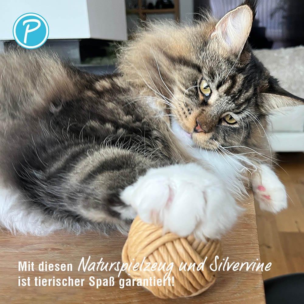 Petlando Earthcat Silvervine Papierball_3