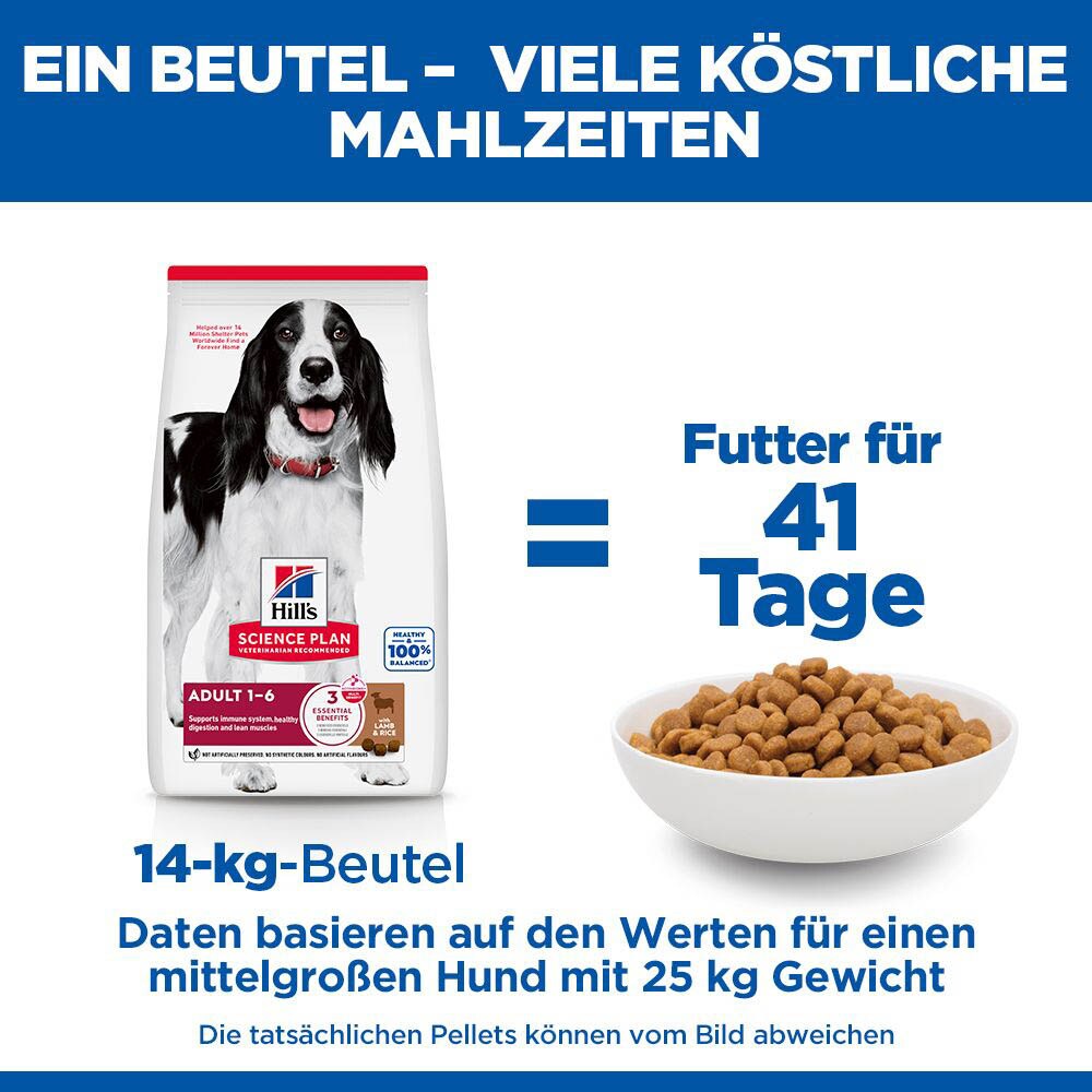 Hills Science Plan Adult Medium Lamm mit Reis Trockenfutter für Hunde_6