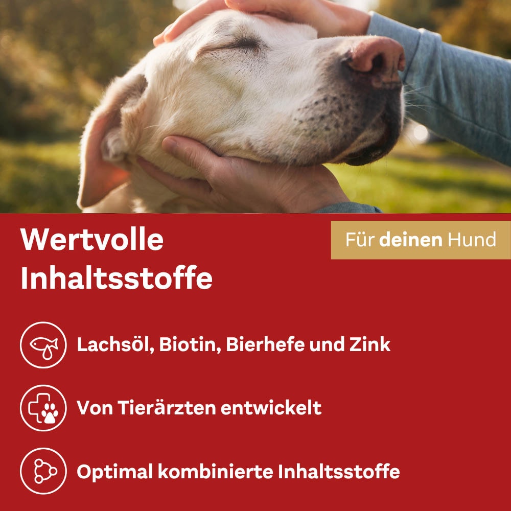 Doppelherz Haut und Fell Complex für Hunde_6